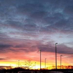 Meet your Posher, Allie